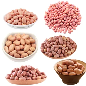 100% Natural Fresh Peanut Groundnut Seeds