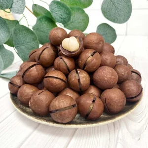 20 Mm+ to 22 Mm+ Cream Flavor Macadamia Nuts Roasted and Dried Snack Food