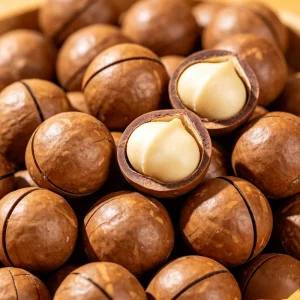 26-28mm Organic Dried Blanched Macadamia Nuts Vacuum Packed 10kg Round Uniform Thin Shell Plump Kernel Ready to Eat