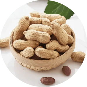 400g Roasted Peanuts Office Snack Savory Peanuts
