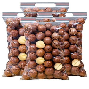 500g High quality Salted Snacks Bagged Nut Exotic Dry Macadamia Nuts Ready to Eat