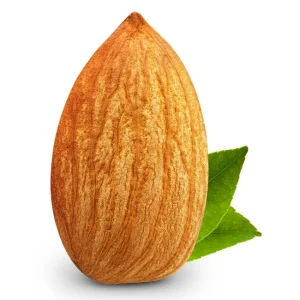 Affordable Quality Shelled Raw Almonds Bulk Organic Dry Roasted Almonds with Sea Salt Almond Nuts