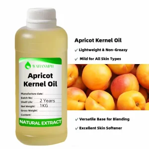 Apricot Kernel Oil 100% Pure Organic Cold Pressed Moisturizing Carrier Oil for Cosmetic Skin Hair Care