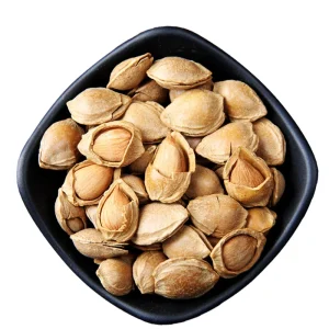 Apricot Kernel in Shell Apricot Pit Almond