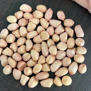 Baisha Peanut Kernel Pink Skin From China Raw Peanuts