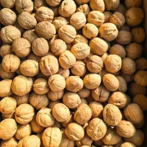 Best Quality Premium Whole Walnuts 100% Natural Walnut With Shell Nutrient Rich Fresh Organic Raw Organic