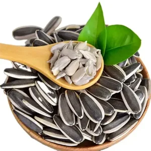 Best Quality Raw Sunflower Seeds Dried Good Price Sunflower Seeds Ton Price