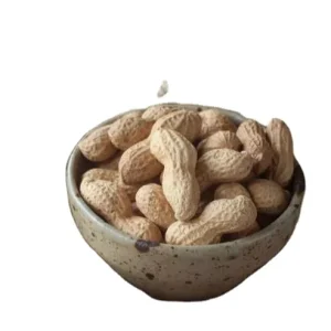 Blanched Roasted Salted Peanuts in Shell