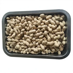 Boiled Peanuts 300g Dried Peanut Kernels Shell Snacks Original Flavor Healthy Natural Leisure Food