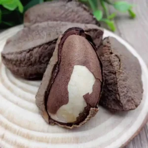Brazil Nut