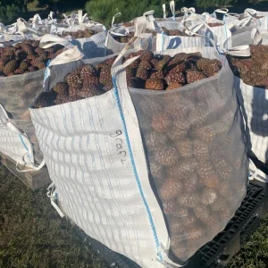 Breathable Jumbo Bag for Pine Nuts with Customized Cover