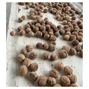Brown Dried Nutrition Nuts Kernels Brown Walnuts Kernels Halves Walnut Kernels
