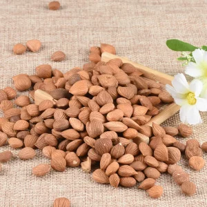Bulk 100% Natural Sulfur-Free Dried Apricot Kernels Semen Armeniacae China Supplier