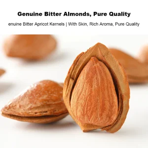 Bulk Almonds With Skin High Nutritional Value Health Food Snack Dried Nuts Available for Bulk Export Raw Processing