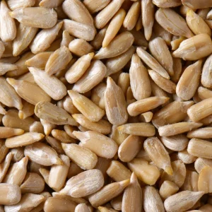Bulk Dried Sunflower Seeds AD Processed Grade a Certified High Quality and Good Price for Human Consumption