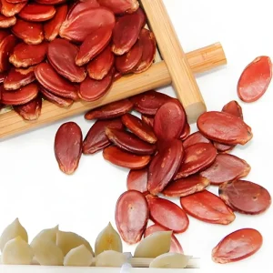 Bulk High quality Dried Red Watermelon Seeds From China Factory at Discounted Prices