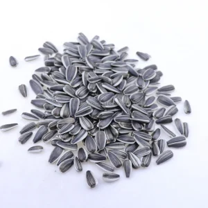 Bulk Inner Mongolia Sunflower Seeds Sunflower Seeds for Human Consumption