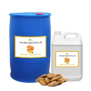 Bulk Nature High Quality Pure Apricot Kernel Oil