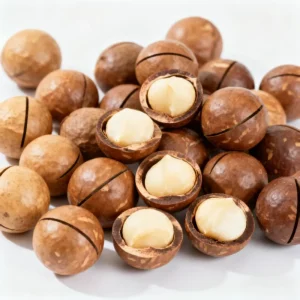 Bulk Price for Premium Organic Roasted Dried Macadamia Nuts in Shell with No Additives 2 Year Shelf Life From Guangxi