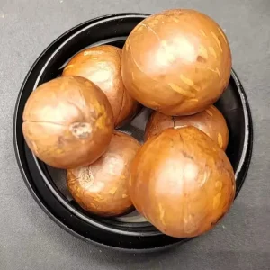 Bulk Raw Dried Macadamia Nuts for Export and Manufacturing 10KG Carton Factory Price