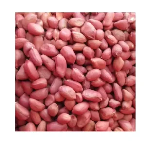 Bulk Raw Pure Sun Dried Peanuts New Crop Blanched Peanuts Peeled Groundnuts Groundnut Raw Peanuts