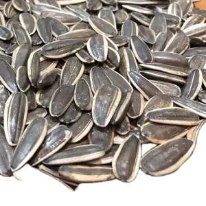 Bulk Sunflower Seeds T6 Sunflower Seeds for Eat From China Factory Direct