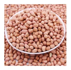 Buyers Jumbo Raw Peanuts High Quality Natural Bold Blanched Peanuts Kernels
