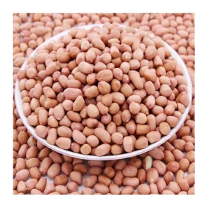 Buyers for Jumbo Raw Peanuts High Quality Natural Bold Blanched Peanuts Kernels