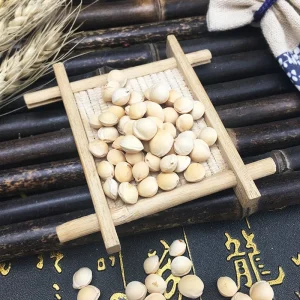 Cherry Pits in Bulk Pillow Core Nuts and Kernels for Dropshipping