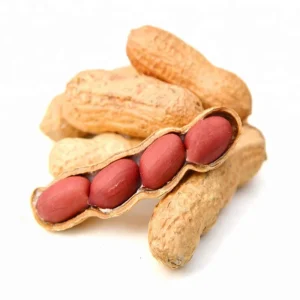 China Peanut Suppliers Good Quality Peanut in Shell