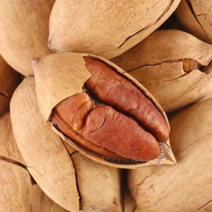 China Pecan Nuts Prices Dried Snack Raw Nuts Hickory