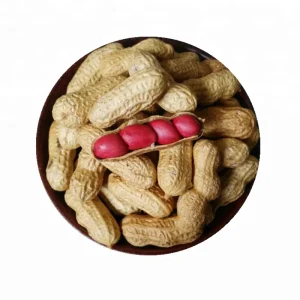 China Professional peanuts Importers Big Size Groundnut peanuts Without Shells