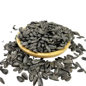 China Sunflower Seeds for Oil Black Inner Mongolia Sunflower Kernel Best Grade