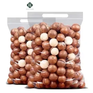 China high quality 500g Macadamia nuts raw flavor Roasted Macadamia nut