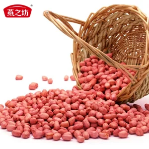 Chinese Bulk Raw Peanuts Jumbo Peanuts for Sale
