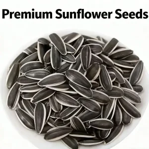 Chinese Factory Organic Sun dried Sunflower Seeds High Quality for Food Use Types 361 363 T6 5009