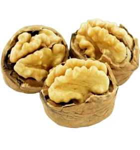 Chinese High Quality Whole Walnut in Shell, walnut Kernels