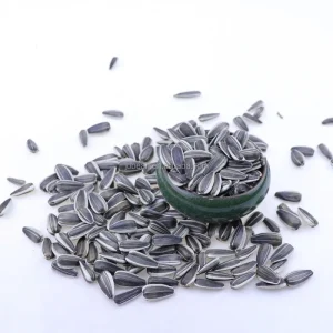 Chinese Inner Mongolia Sunflower Seeds Price Non Gmo Raw Sunflower Seeds Big Bag Sunflower Seeds