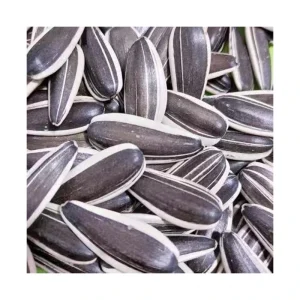 Chinese Non GMO High Quality Good Price Organic Raw Sunflower Kernels Seeds