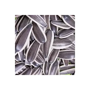Chinese Non GMO High Quality Organic Raw Sunflower Kernels Seeds