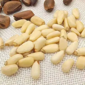 Chinese Pine Nuts Chilgoza Pine Nuts