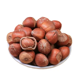 Chinese Suppliers Roasted Hazelnut Cobnut Dry Hazelnuts