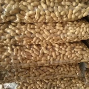 Chunwang Factory Prices New Crop Peanuts Roasted Peanut in Shell