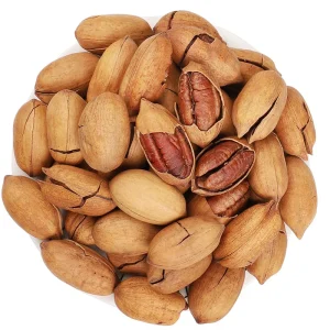 Coated Pecan Nuts Price in Shell Pecan Nuts in Chinese Raw Pecan Nut for Sale