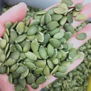 Competitive Price Bulk Supply Pumpkin Seeds Kernels Dried AD Processed Grade a
