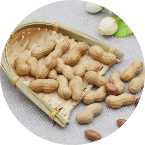 Custom Brand Blended Dried Peanuts OEM Custom Packaging Shandong Origin Snack Use Mixed Batch Supply