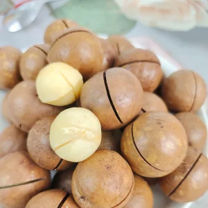 Customized Flavors Roasted Dried Macadamia Nuts Caramel Vanilla Cream for Snacks or Food Use
