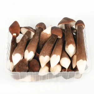 DETAN HORECA Using Factory Cultivated Stable Supplying High Quality Edible Chinese Fresh Royal Chestnut Mushrooms