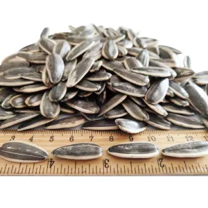 DYTD 361.363.T6 Custom Packaging Large Size Black Stripes Raw Dried Sunflower Seeds Snack Healthy Price Discount