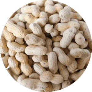 Dente High quality Crispy Large pack Garlic flavored Blended Dried peanuts From Shandong Made in China for Parties Work Snacking